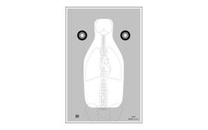 ACTION TGT FBI VITAL ANTM GRY 100PK