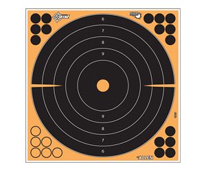 ALLEN EZ AIM 12" BULLSEYE 5PK